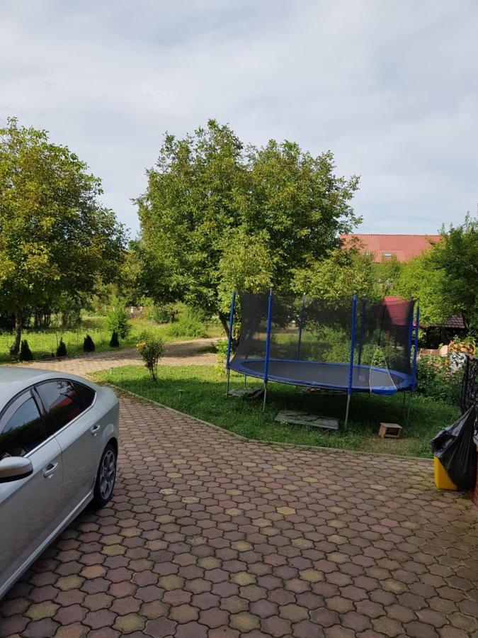 Pensiunea Ruxandra Baile 1 Mai Exteriör bild